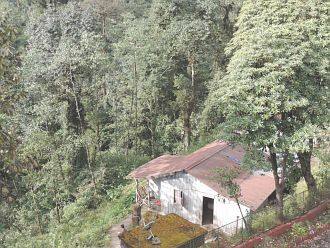 Lepchajagat Home Stay, Darjeeling 5